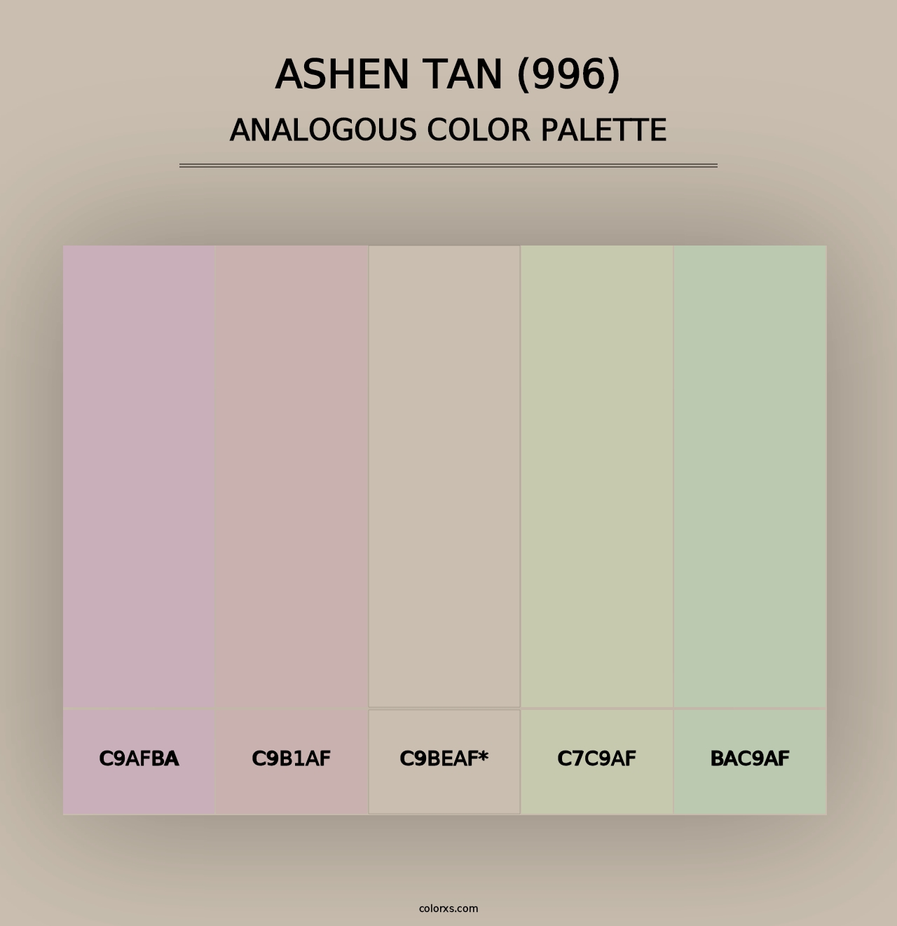 Ashen Tan (996) - Analogous Color Palette