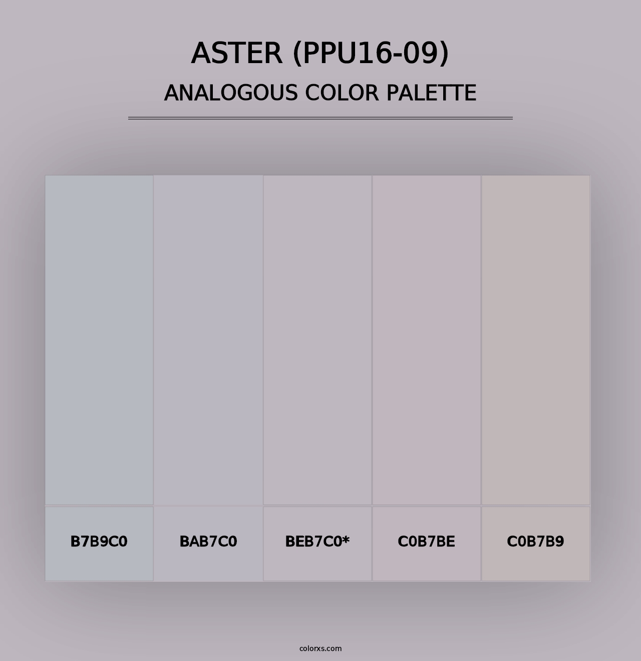 Aster (PPU16-09) - Analogous Color Palette