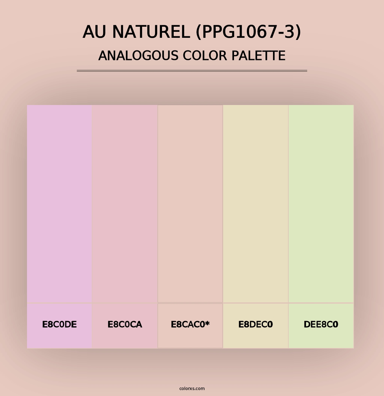 Au Naturel (PPG1067-3) - Analogous Color Palette