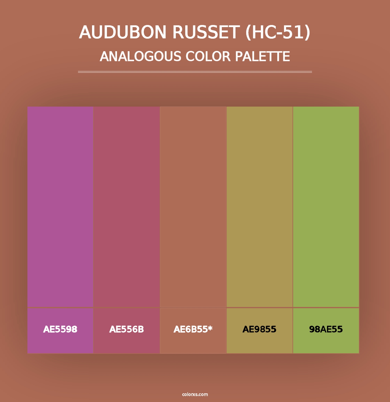 Audubon Russet (HC-51) - Analogous Color Palette