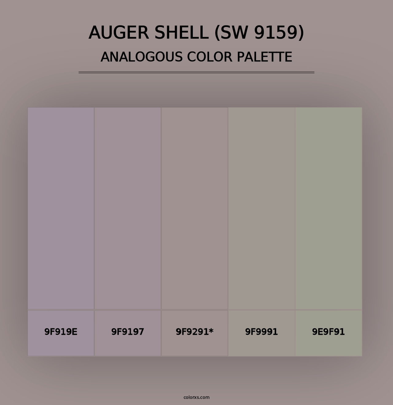 Auger Shell (SW 9159) - Analogous Color Palette