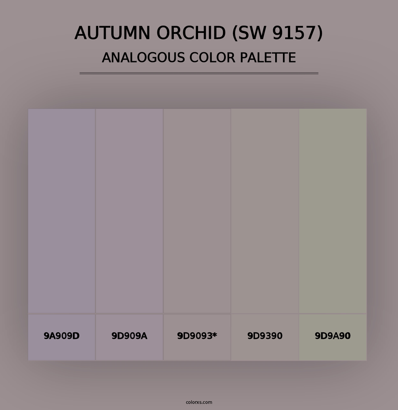 Autumn Orchid (SW 9157) - Analogous Color Palette