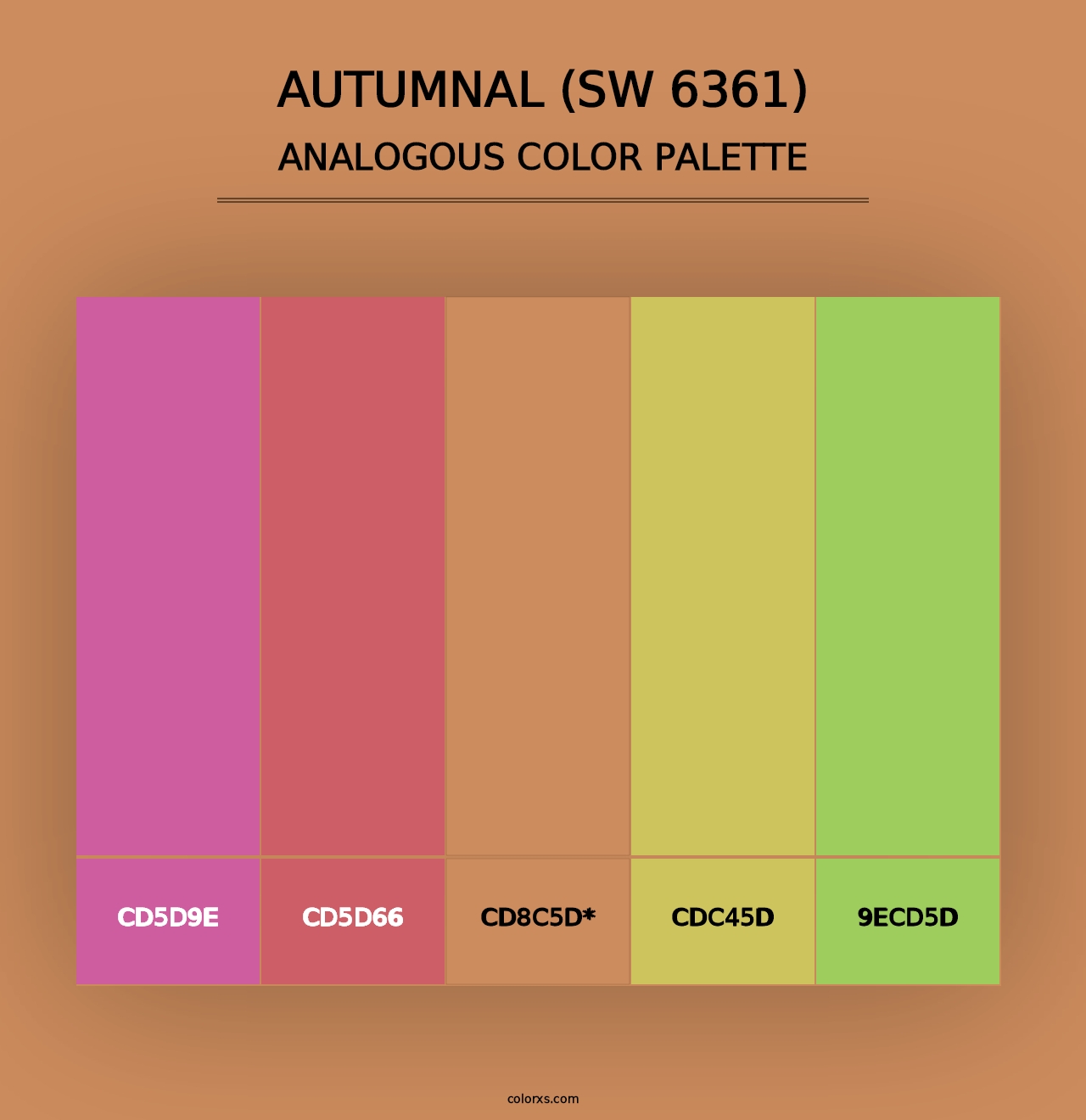 Autumnal (SW 6361) - Analogous Color Palette