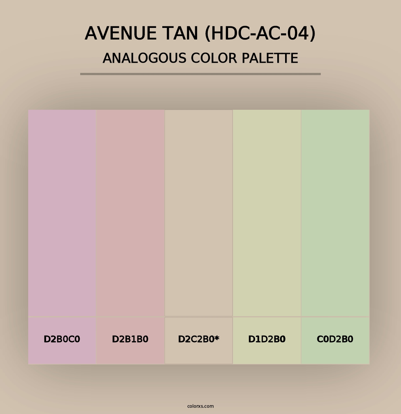 Avenue Tan (HDC-AC-04) - Analogous Color Palette