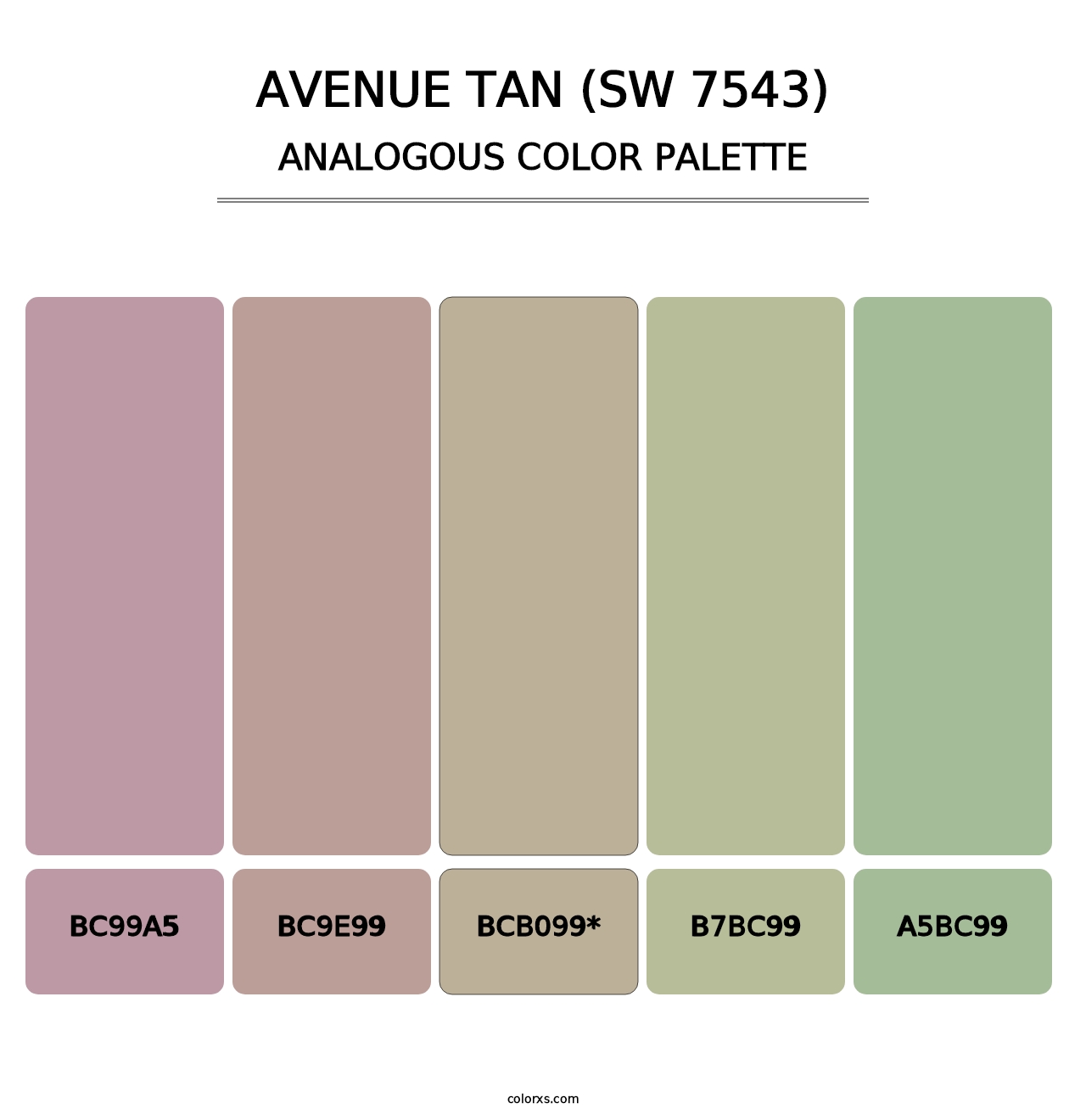 Avenue Tan (SW 7543) - Analogous Color Palette