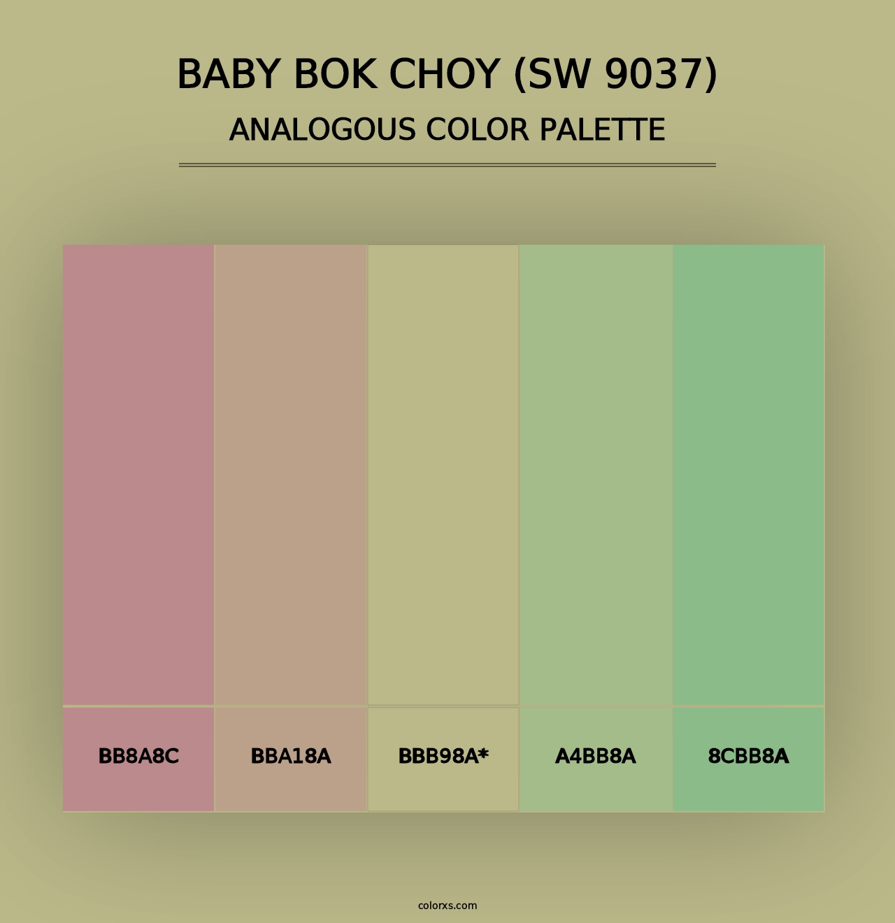 Baby Bok Choy (SW 9037) - Analogous Color Palette