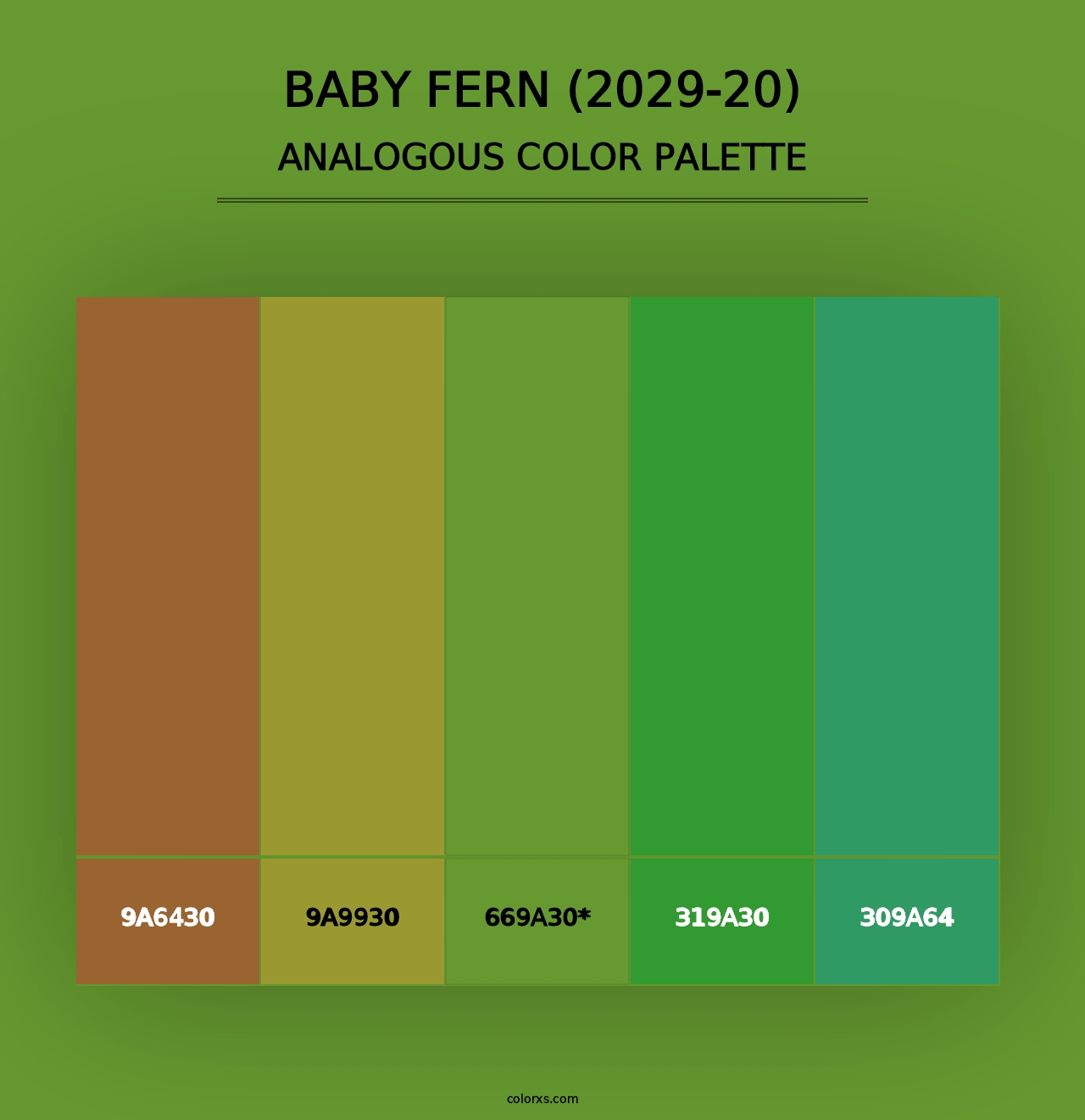 Baby Fern (2029-20) - Analogous Color Palette