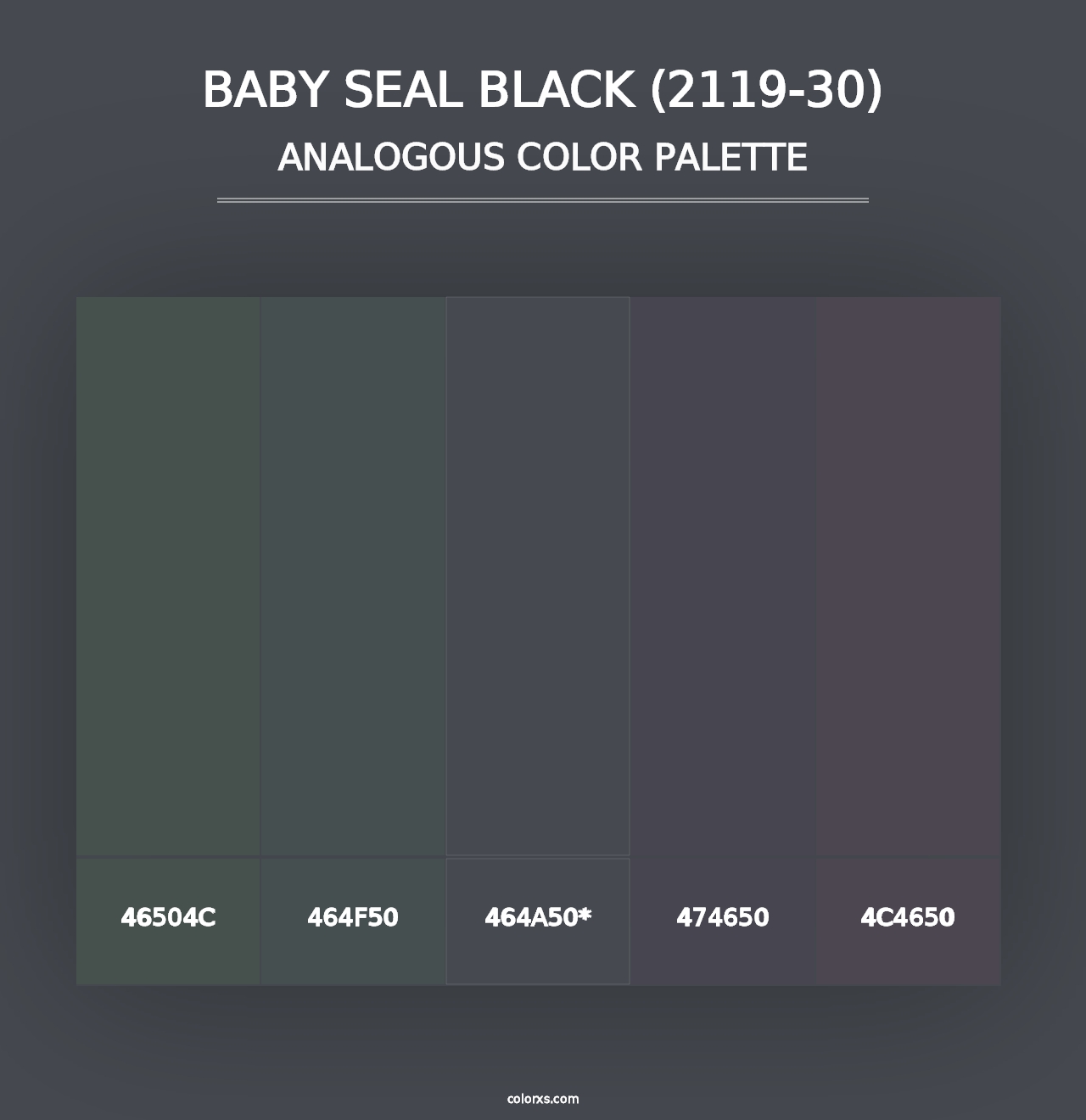 Baby Seal Black (2119-30) - Analogous Color Palette