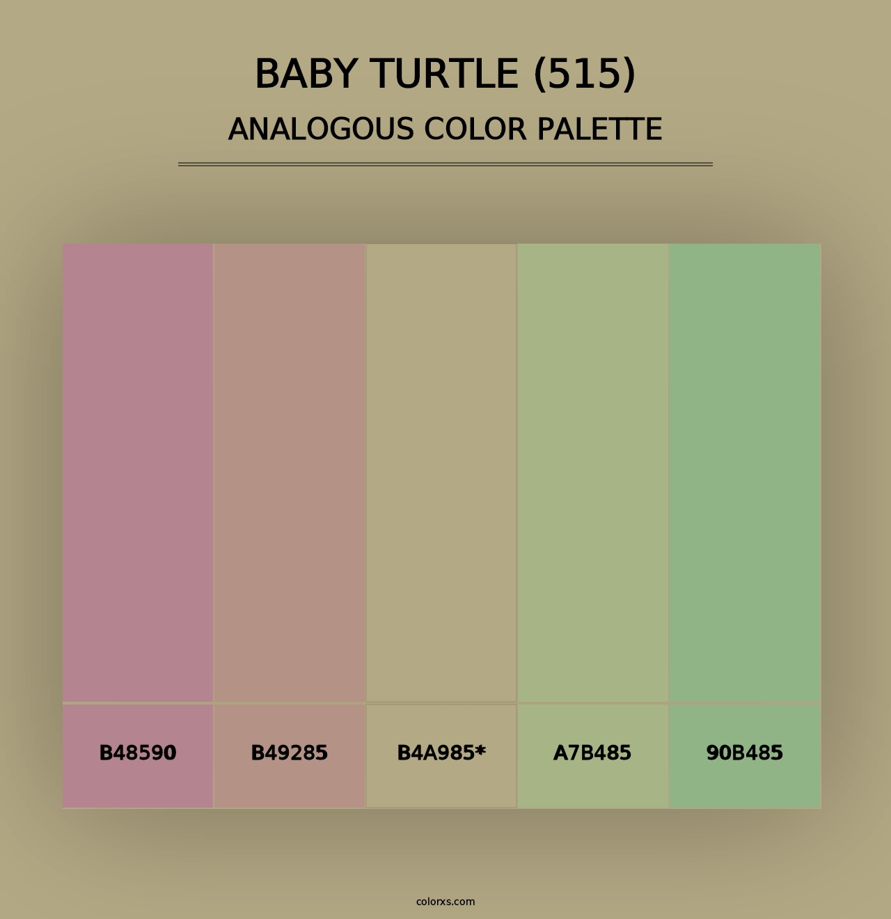 Baby Turtle (515) - Analogous Color Palette