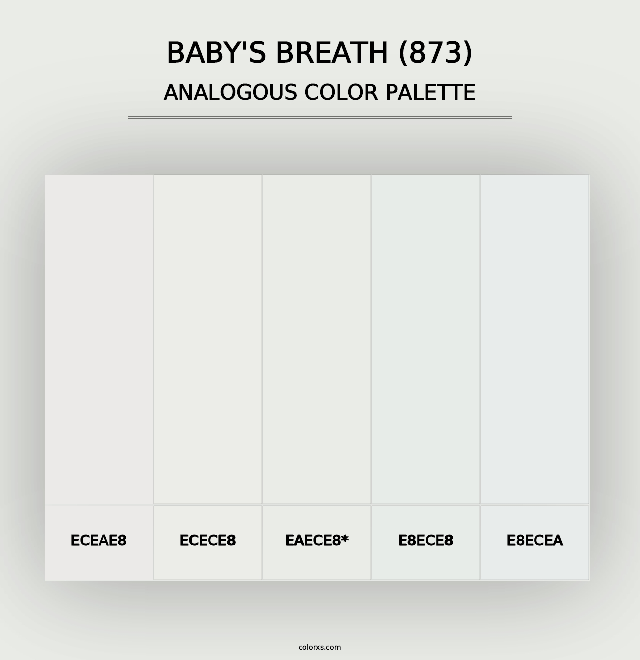 Baby's Breath (873) - Analogous Color Palette