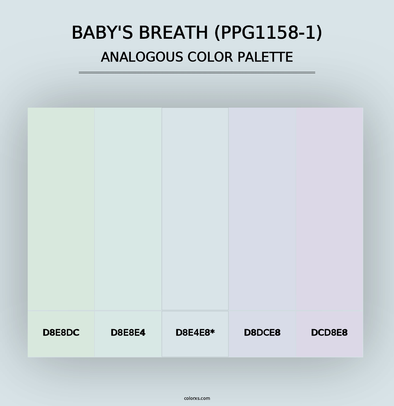 Baby's Breath (PPG1158-1) - Analogous Color Palette