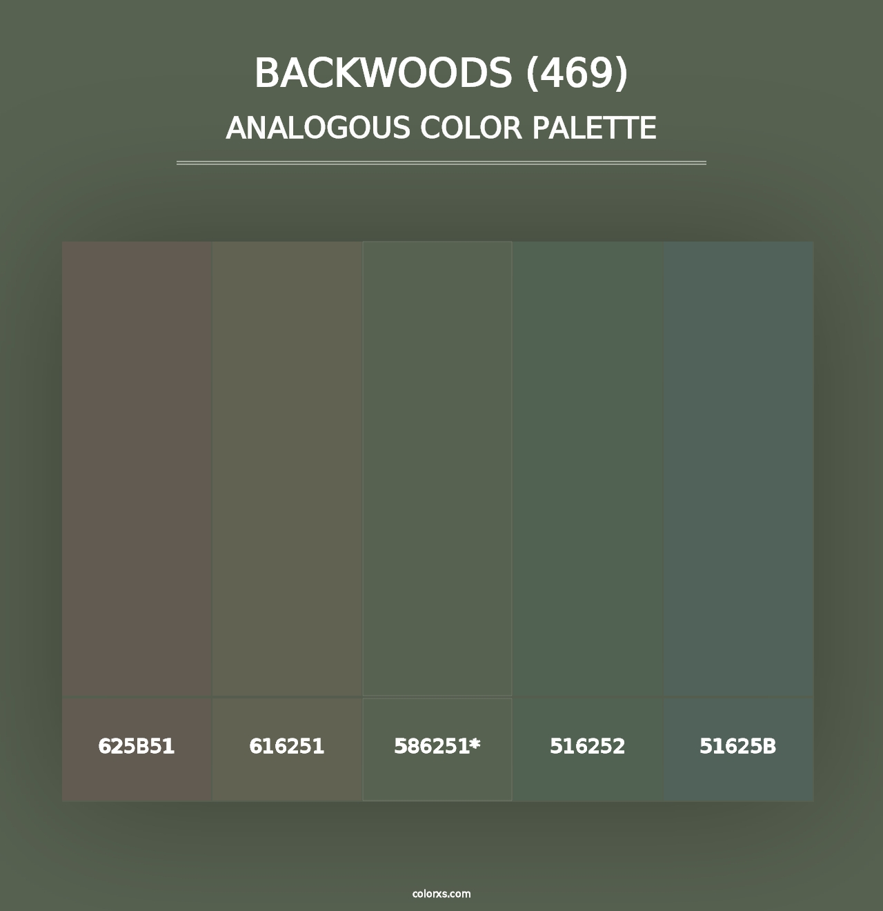 Backwoods (469) - Analogous Color Palette