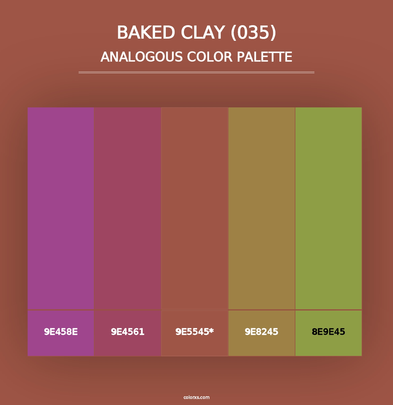 Baked Clay (035) - Analogous Color Palette