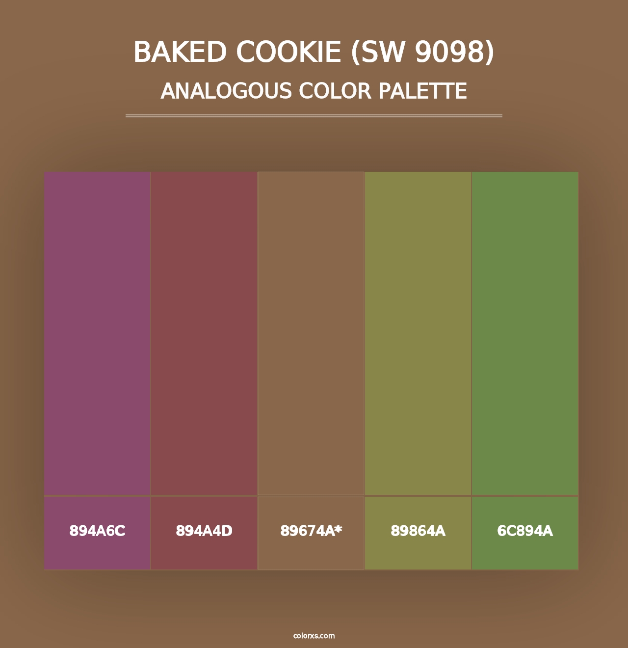 Baked Cookie (SW 9098) - Analogous Color Palette