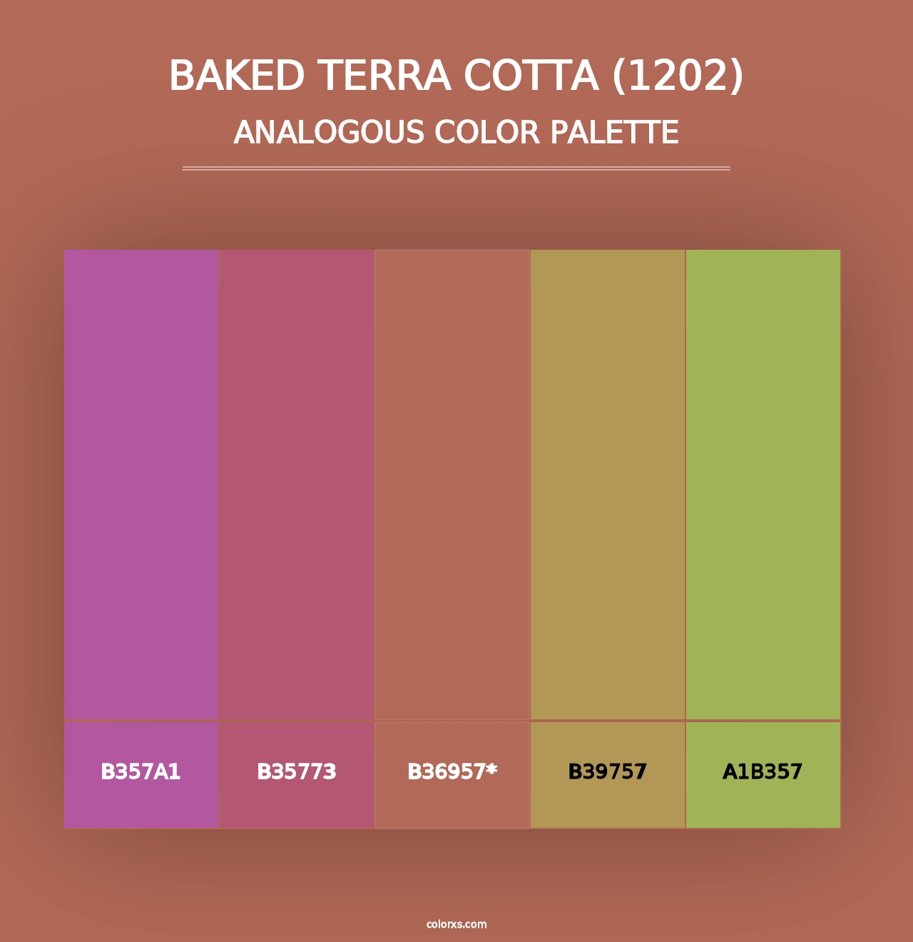 Baked Terra Cotta (1202) - Analogous Color Palette