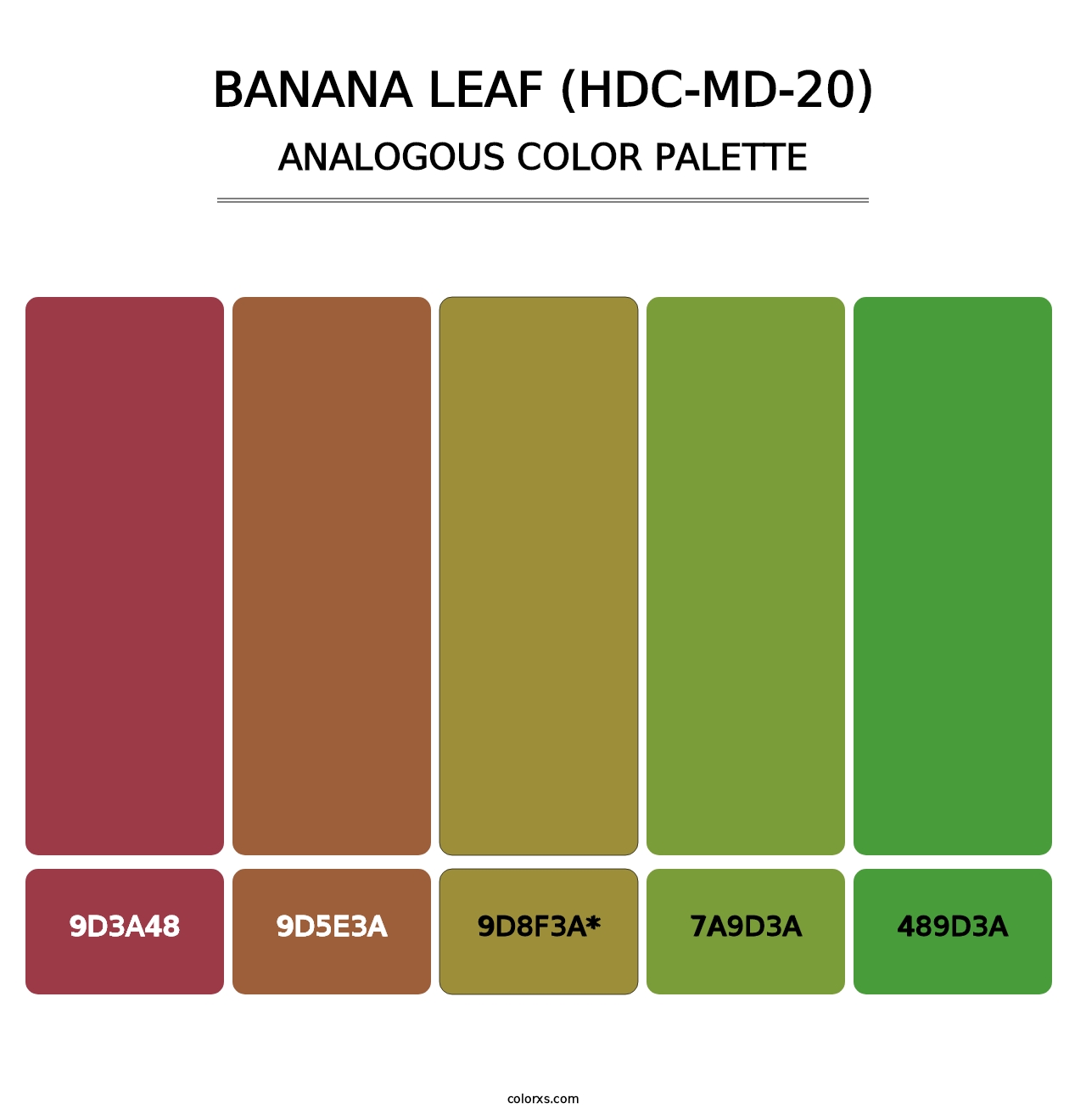 Banana Leaf (HDC-MD-20) - Analogous Color Palette