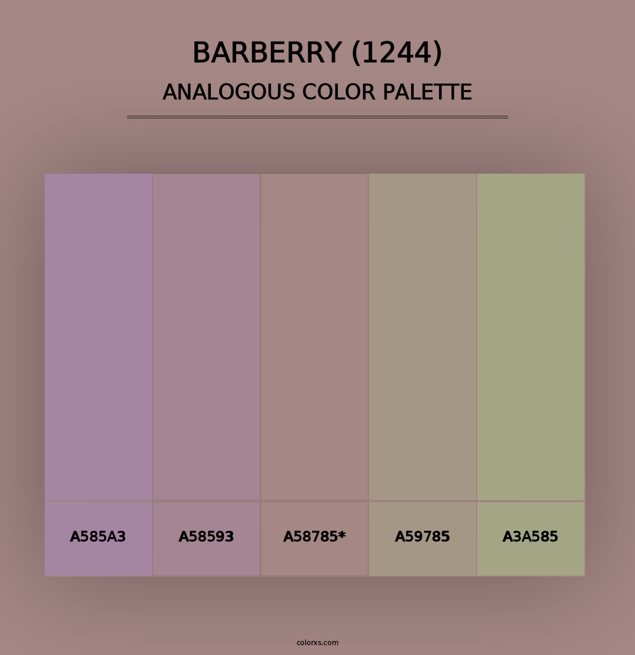 Barberry (1244) - Analogous Color Palette