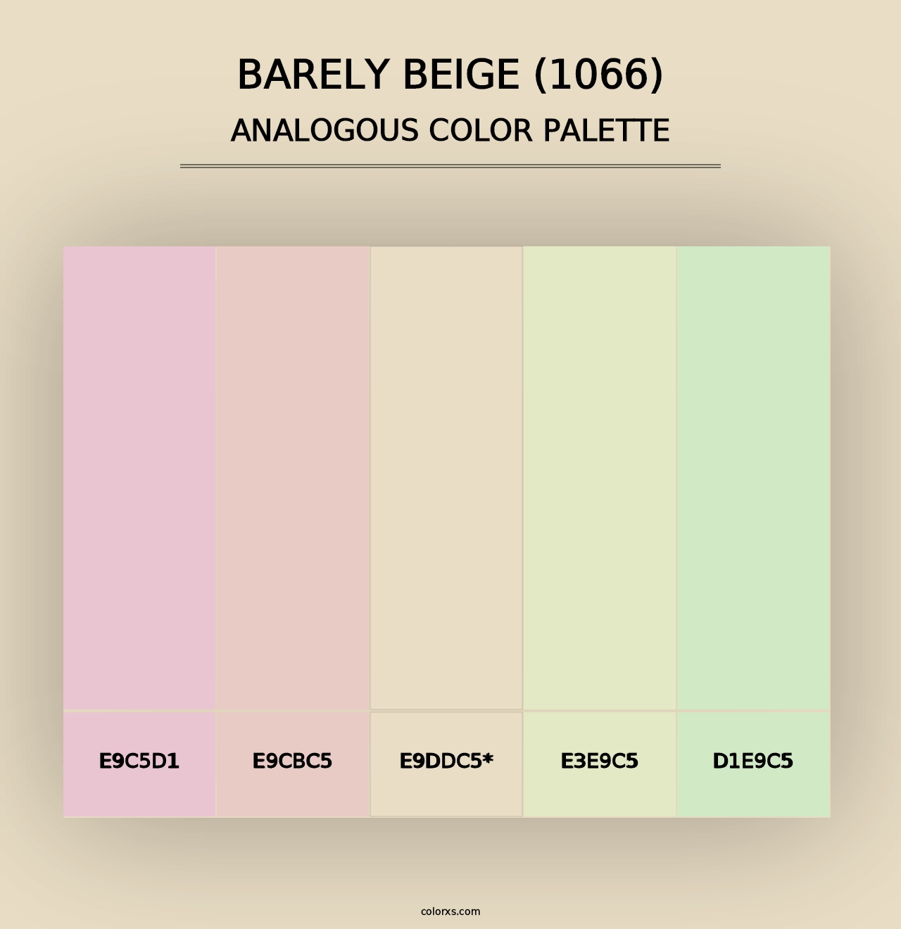 Barely Beige (1066) - Analogous Color Palette