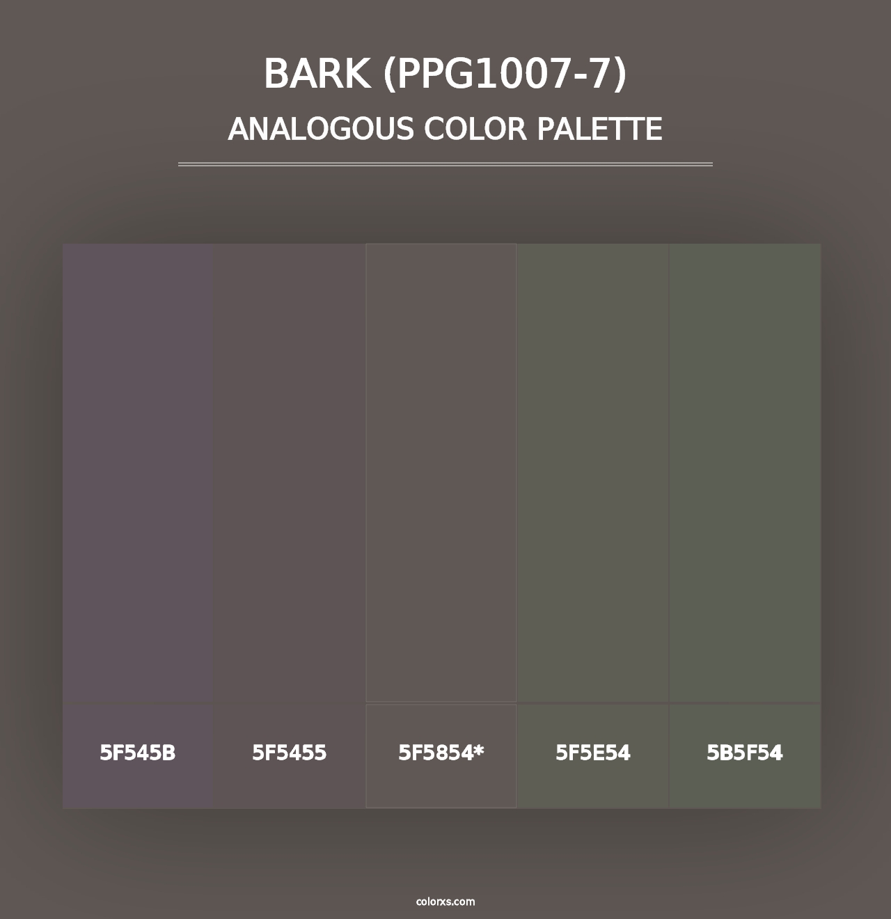 Bark (PPG1007-7) - Analogous Color Palette