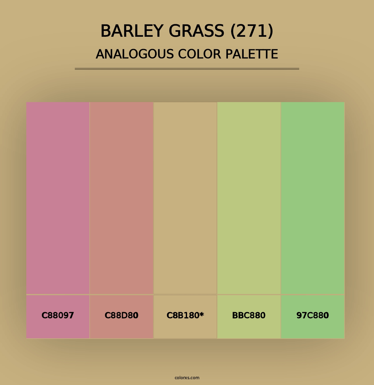 Barley Grass (271) - Analogous Color Palette