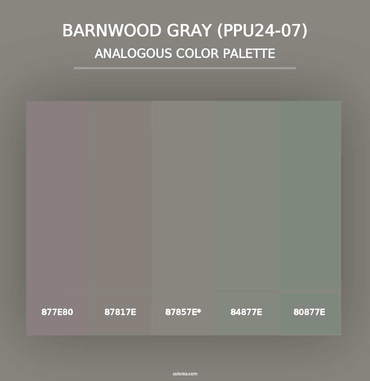 Barnwood Gray (PPU24-07) - Analogous Color Palette