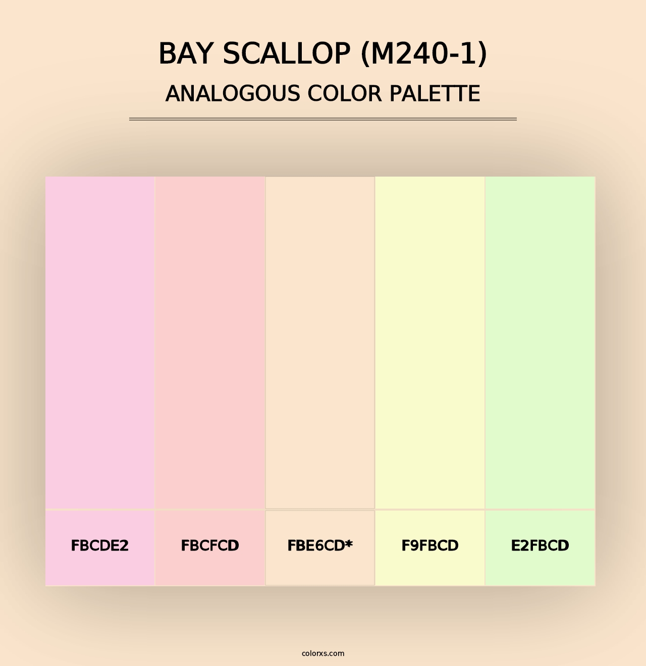 Bay Scallop (M240-1) - Analogous Color Palette