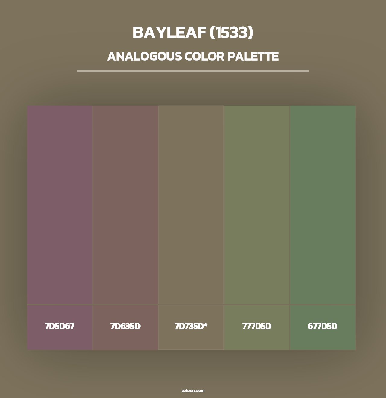 Bayleaf (1533) - Analogous Color Palette