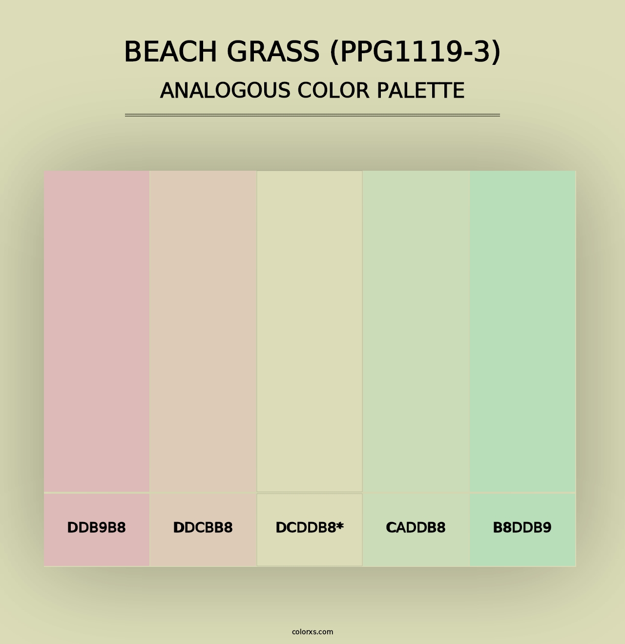 Beach Grass (PPG1119-3) - Analogous Color Palette