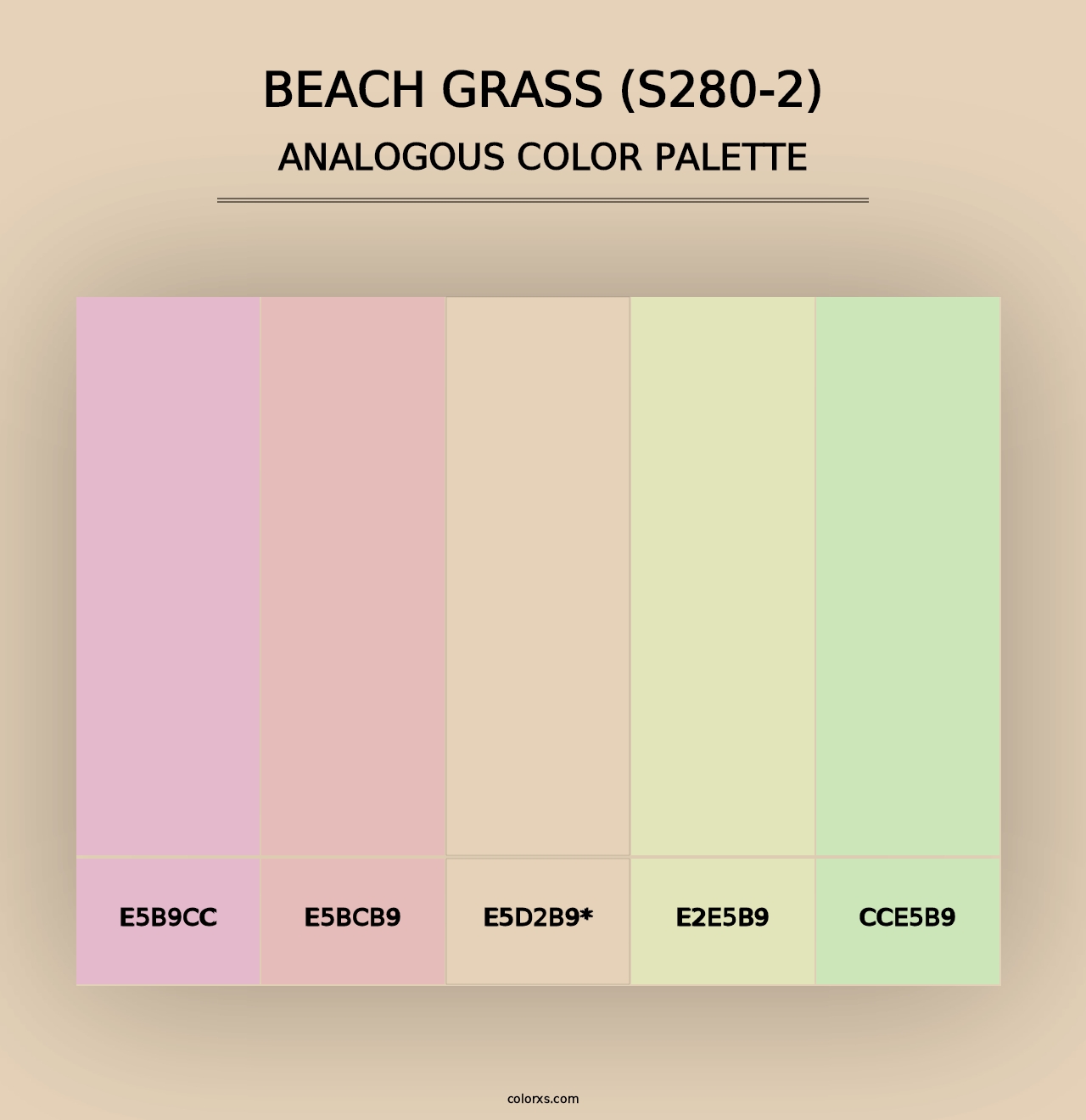 Beach Grass (S280-2) - Analogous Color Palette