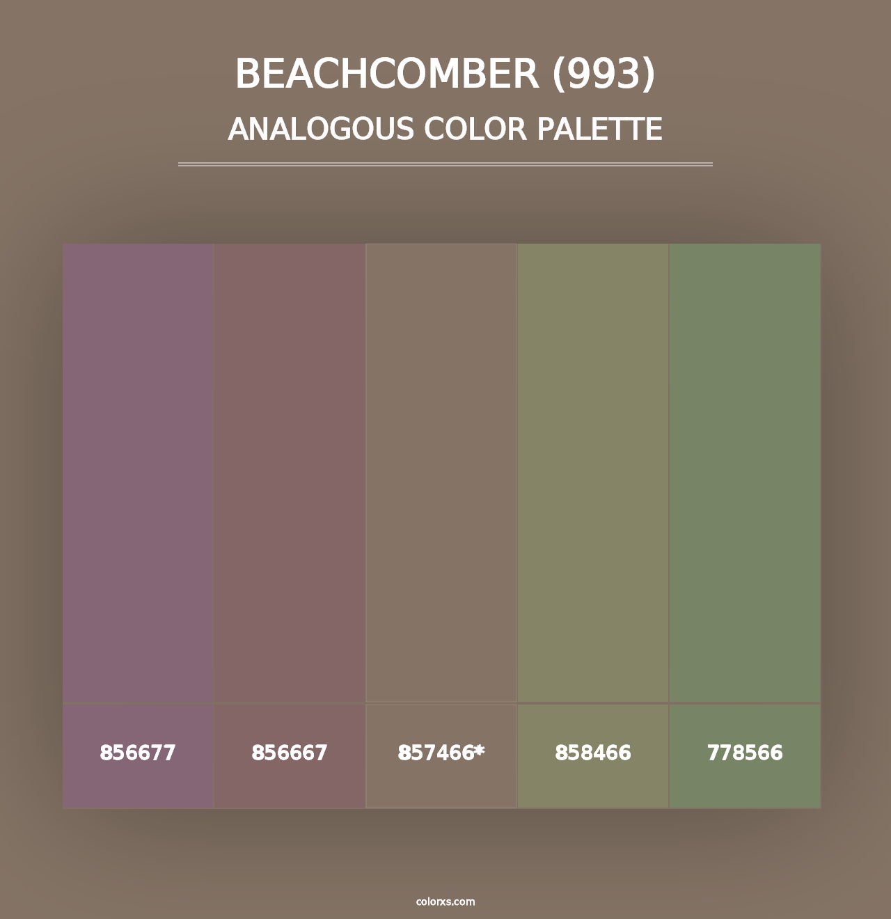 Beachcomber (993) - Analogous Color Palette