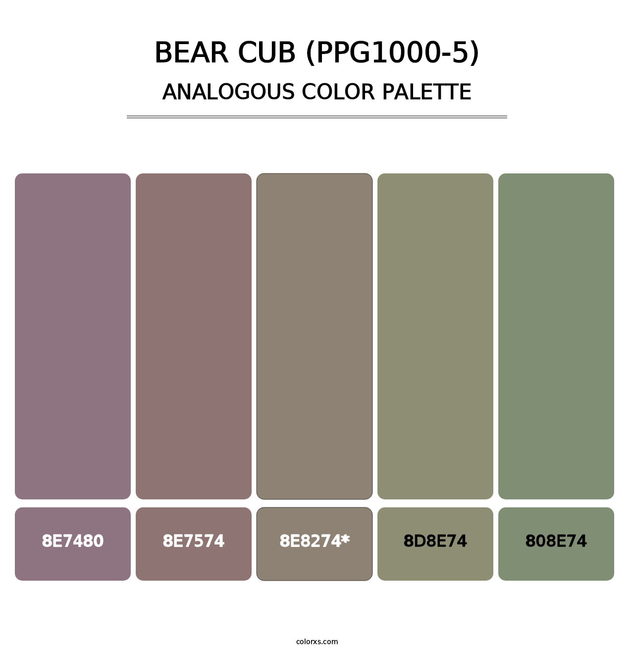 Bear Cub (PPG1000-5) - Analogous Color Palette