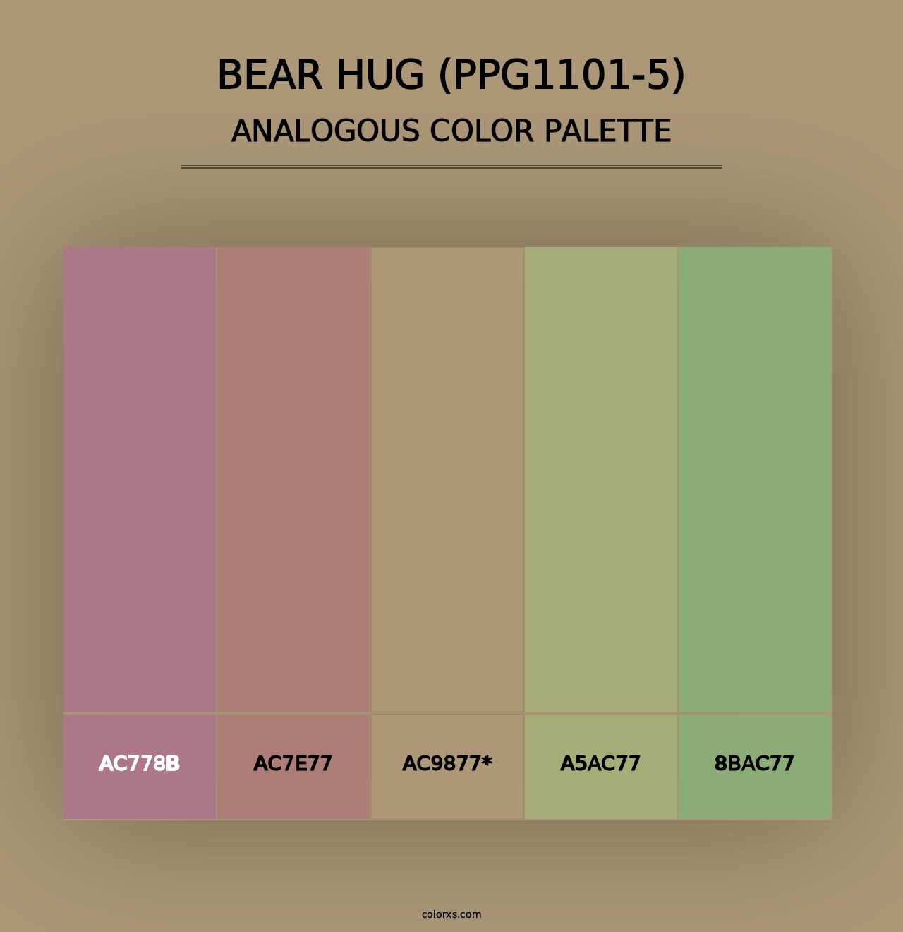 Bear Hug (PPG1101-5) - Analogous Color Palette