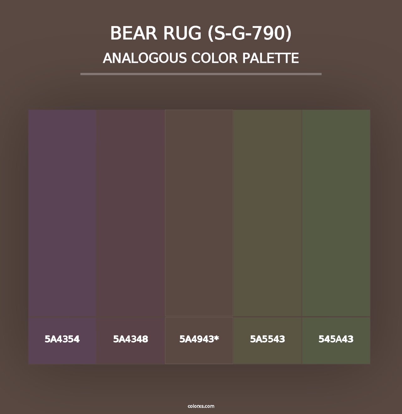 Bear Rug (S-G-790) - Analogous Color Palette