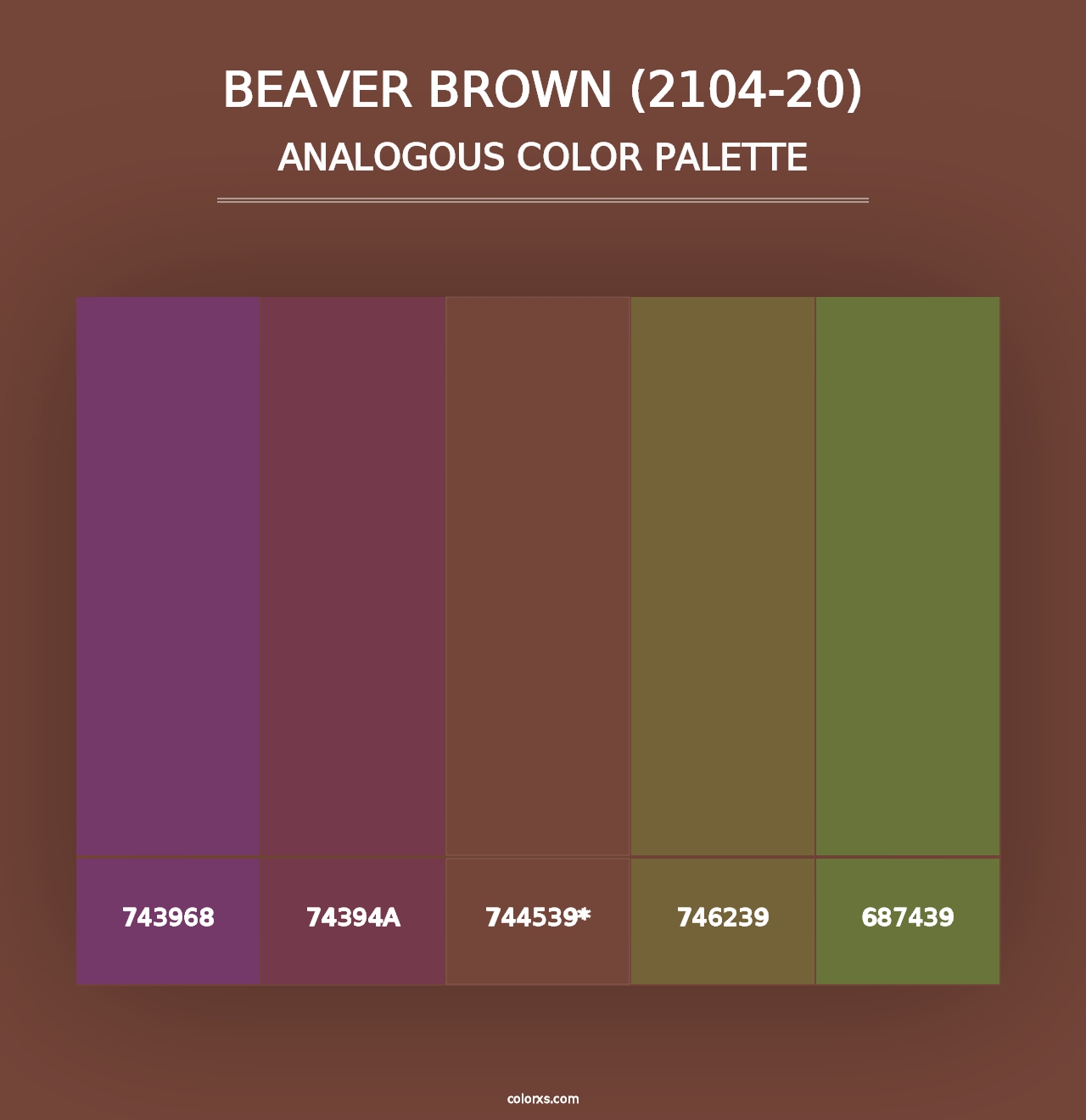 Beaver Brown (2104-20) - Analogous Color Palette