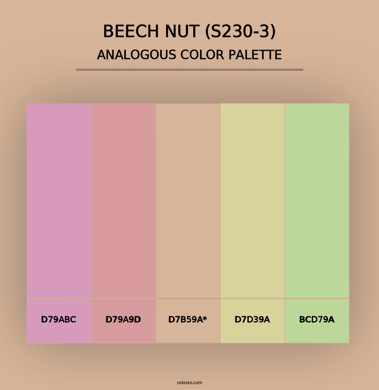 Beech Nut (S230-3) - Analogous Color Palette