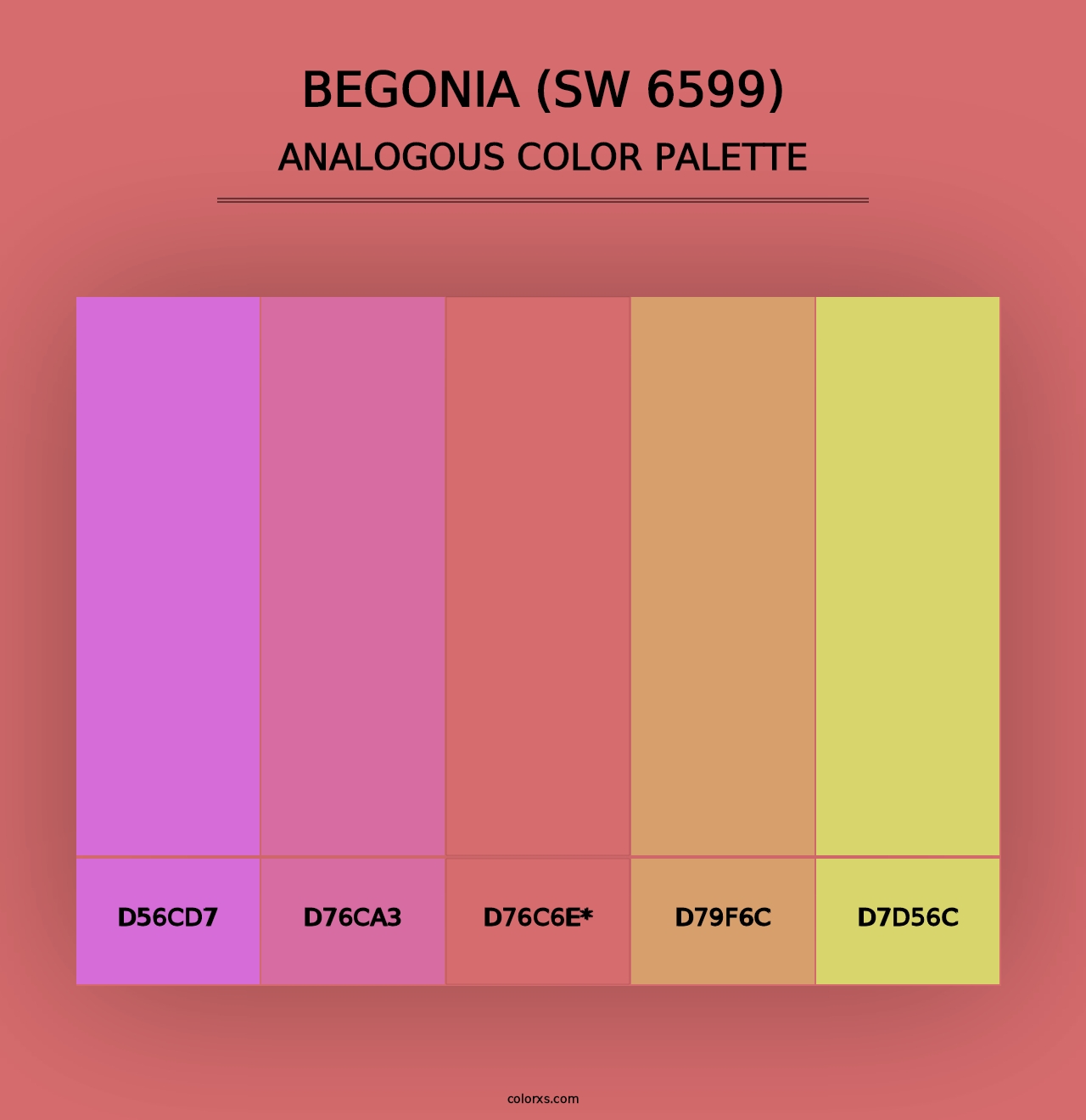 Begonia (SW 6599) - Analogous Color Palette