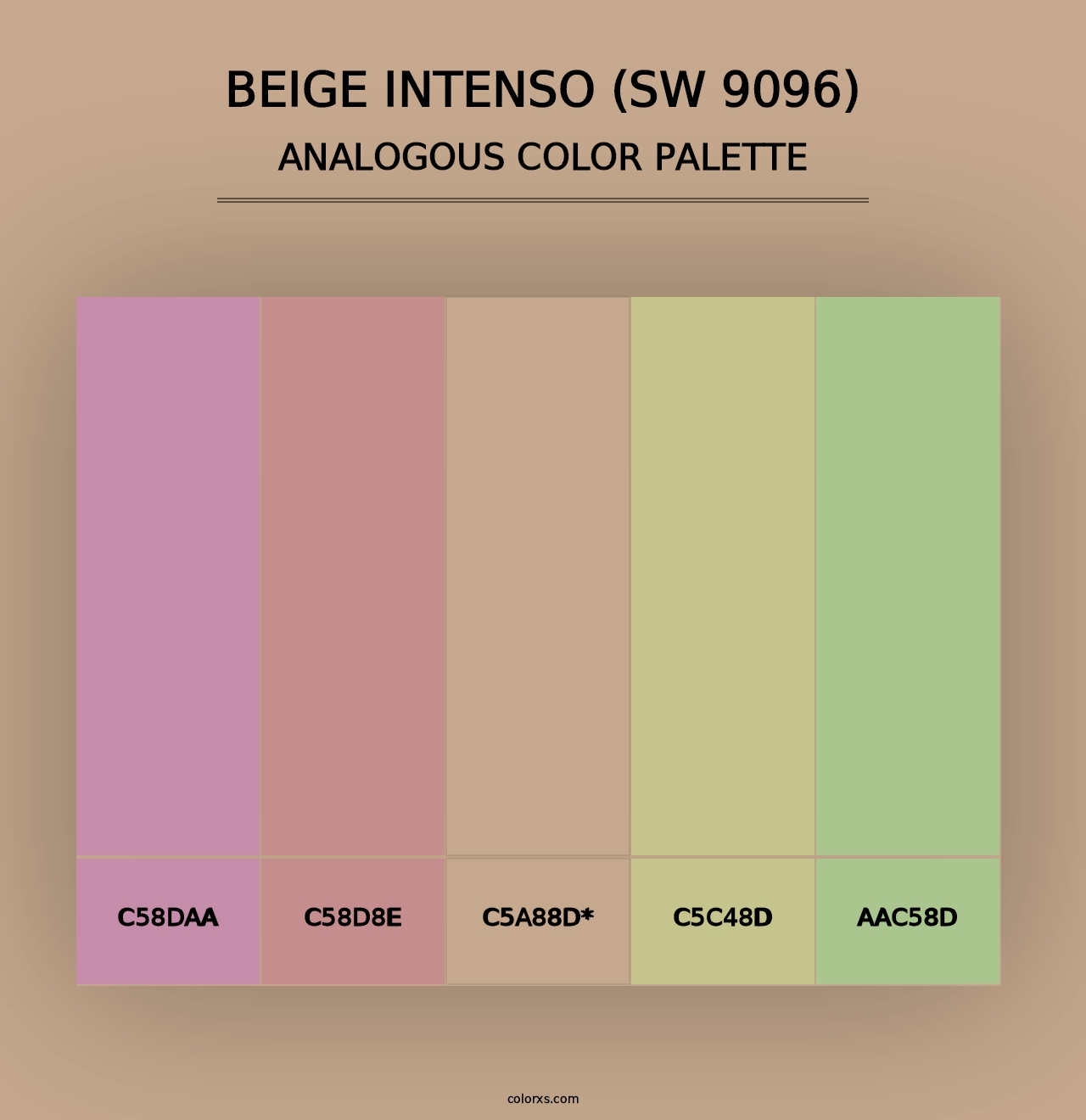 Beige Intenso (SW 9096) - Analogous Color Palette