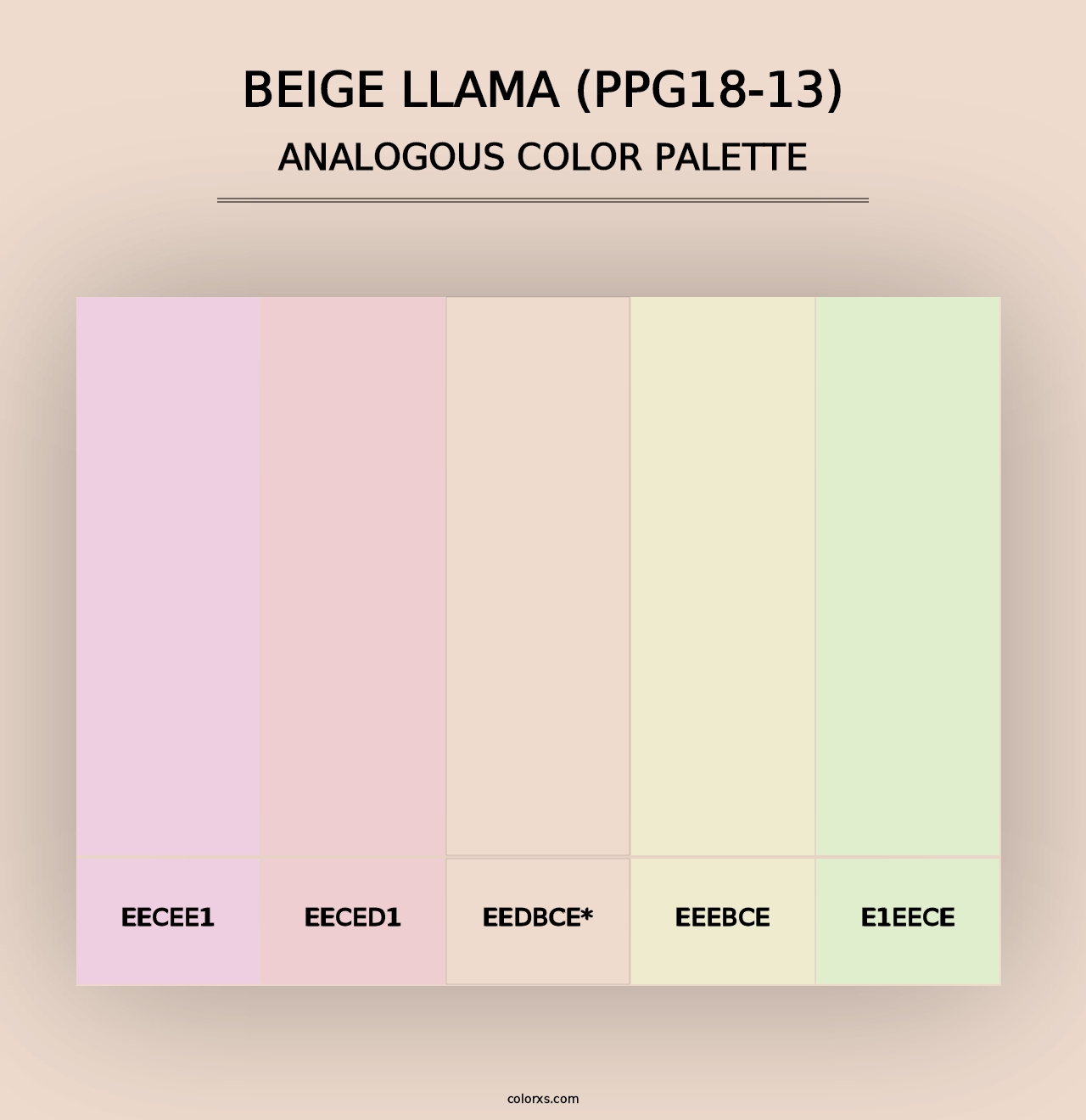 Beige Llama (PPG18-13) - Analogous Color Palette