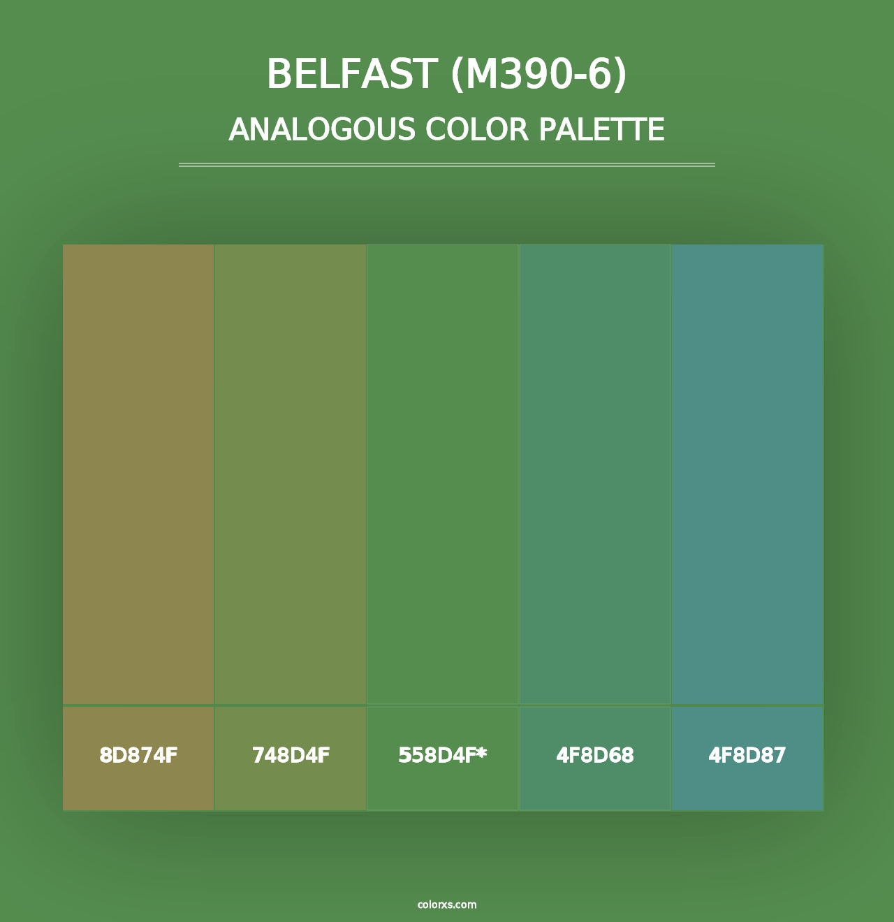 Belfast (M390-6) - Analogous Color Palette