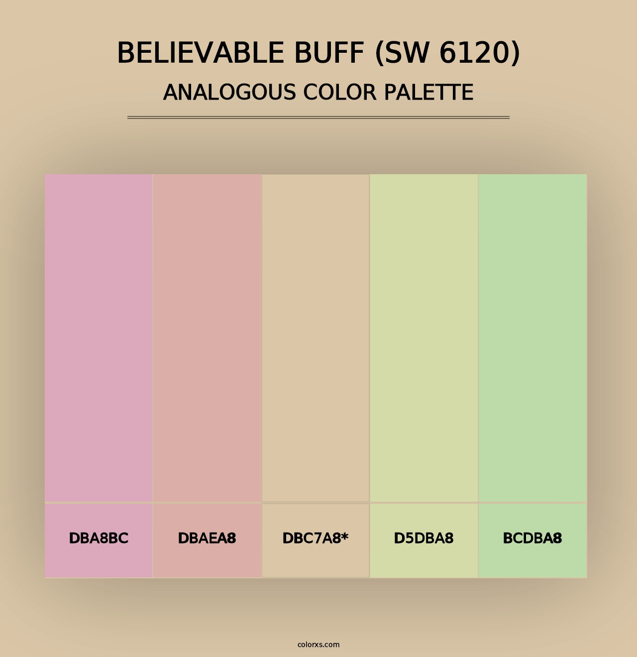 Believable Buff (SW 6120) - Analogous Color Palette