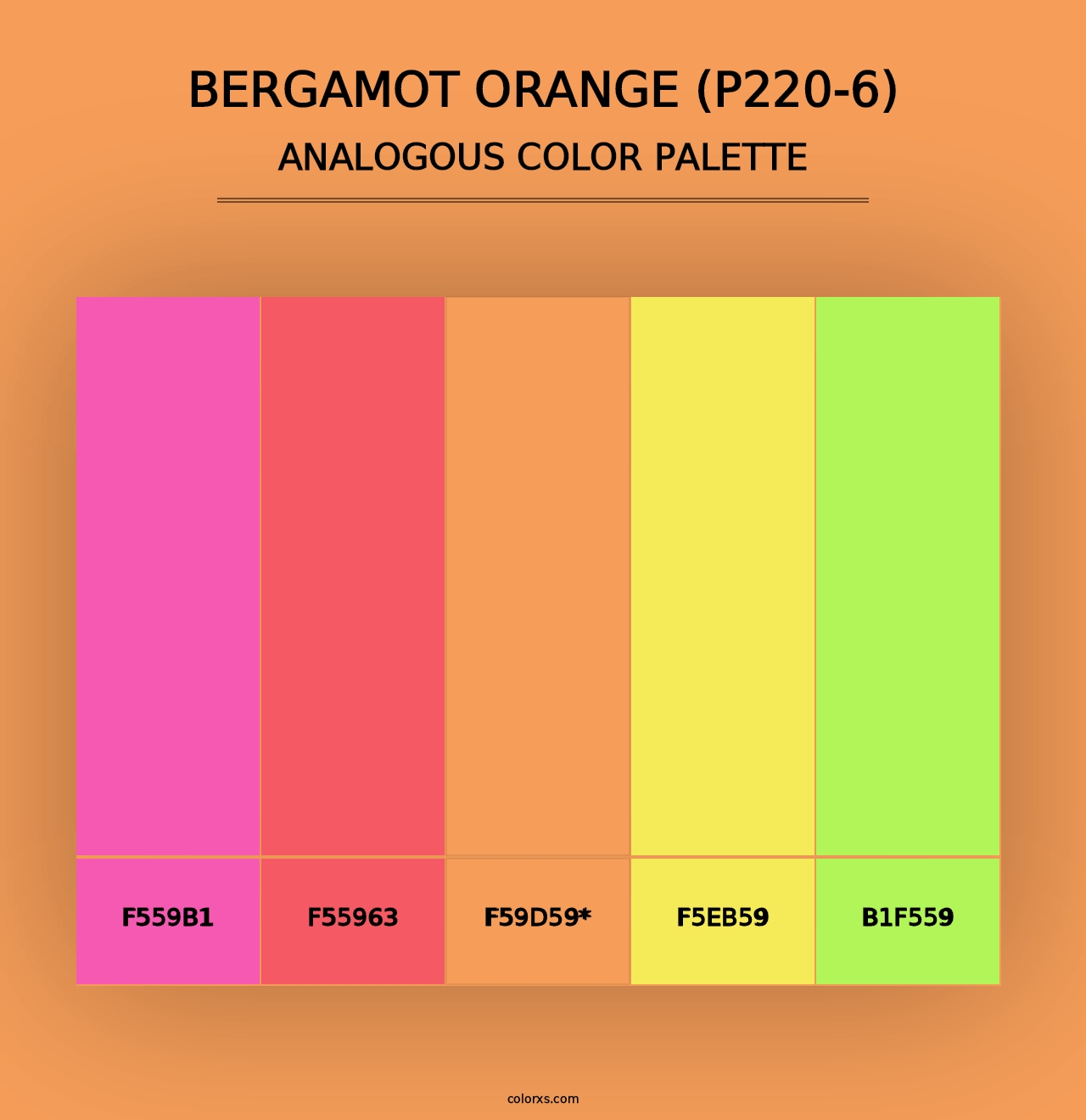 Bergamot Orange (P220-6) - Analogous Color Palette