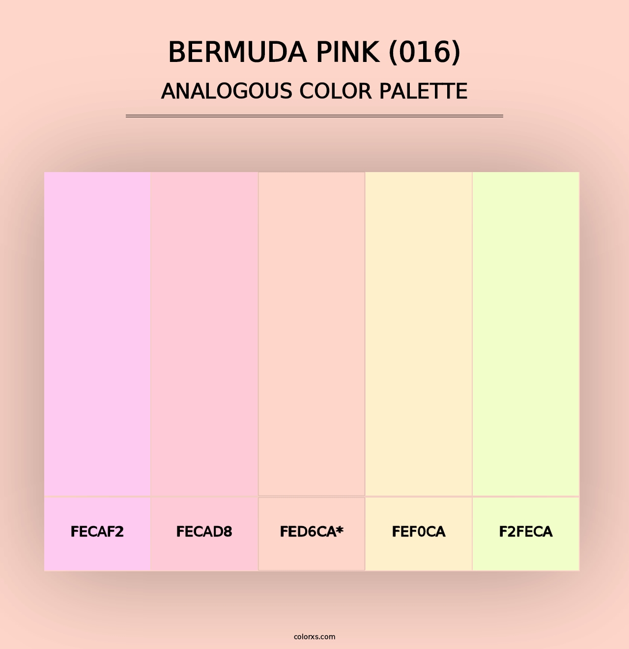 Bermuda Pink (016) - Analogous Color Palette