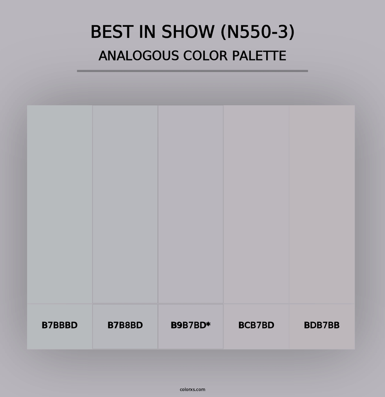 Best In Show (N550-3) - Analogous Color Palette