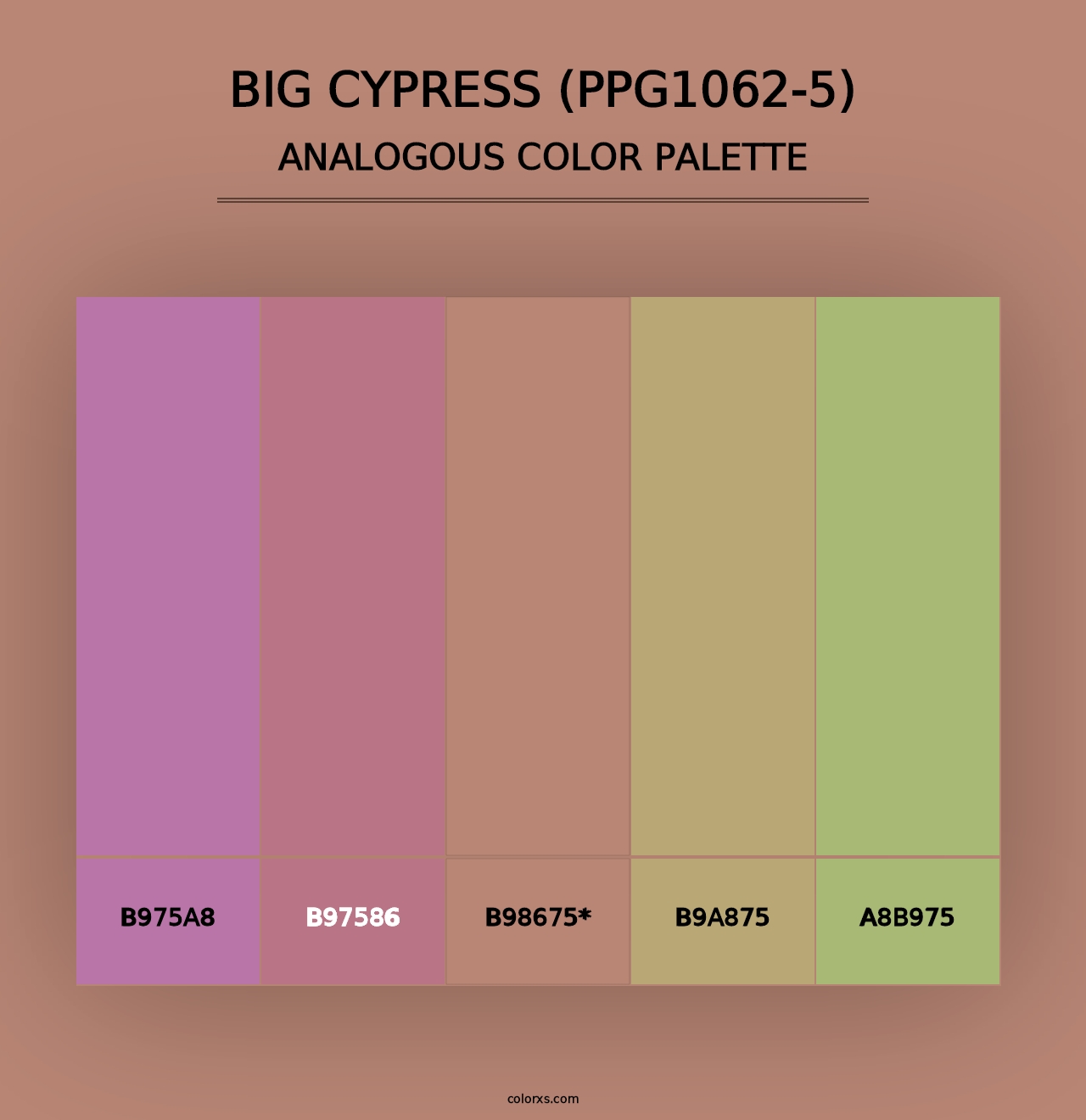 Big Cypress (PPG1062-5) - Analogous Color Palette