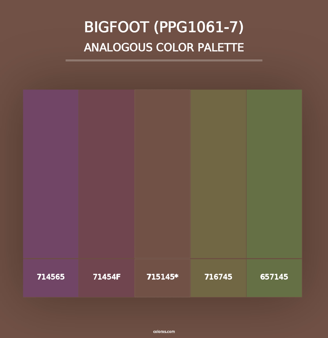 Bigfoot (PPG1061-7) - Analogous Color Palette