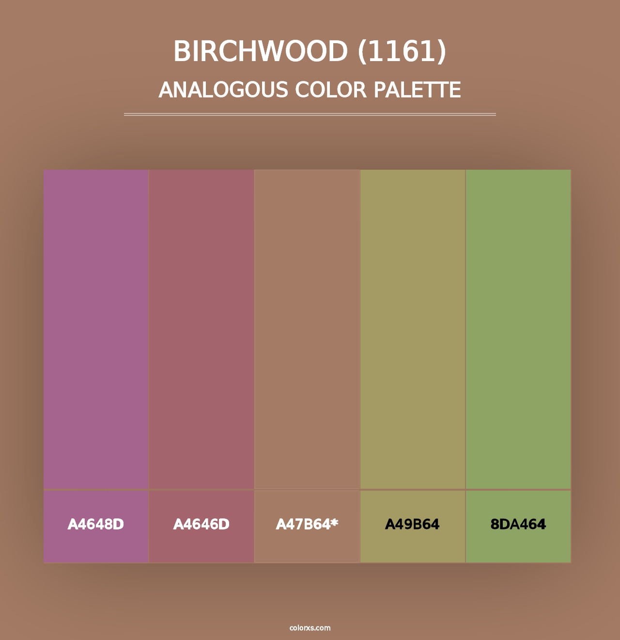 Birchwood (1161) - Analogous Color Palette