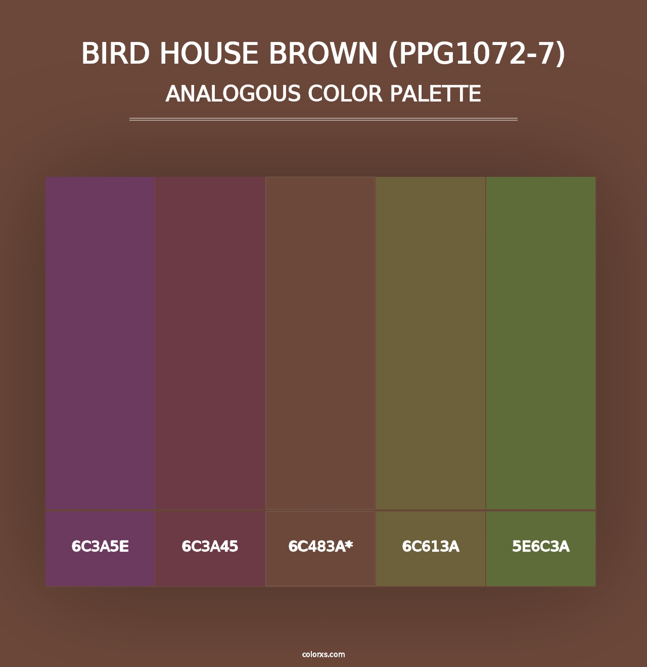 Bird House Brown (PPG1072-7) - Analogous Color Palette