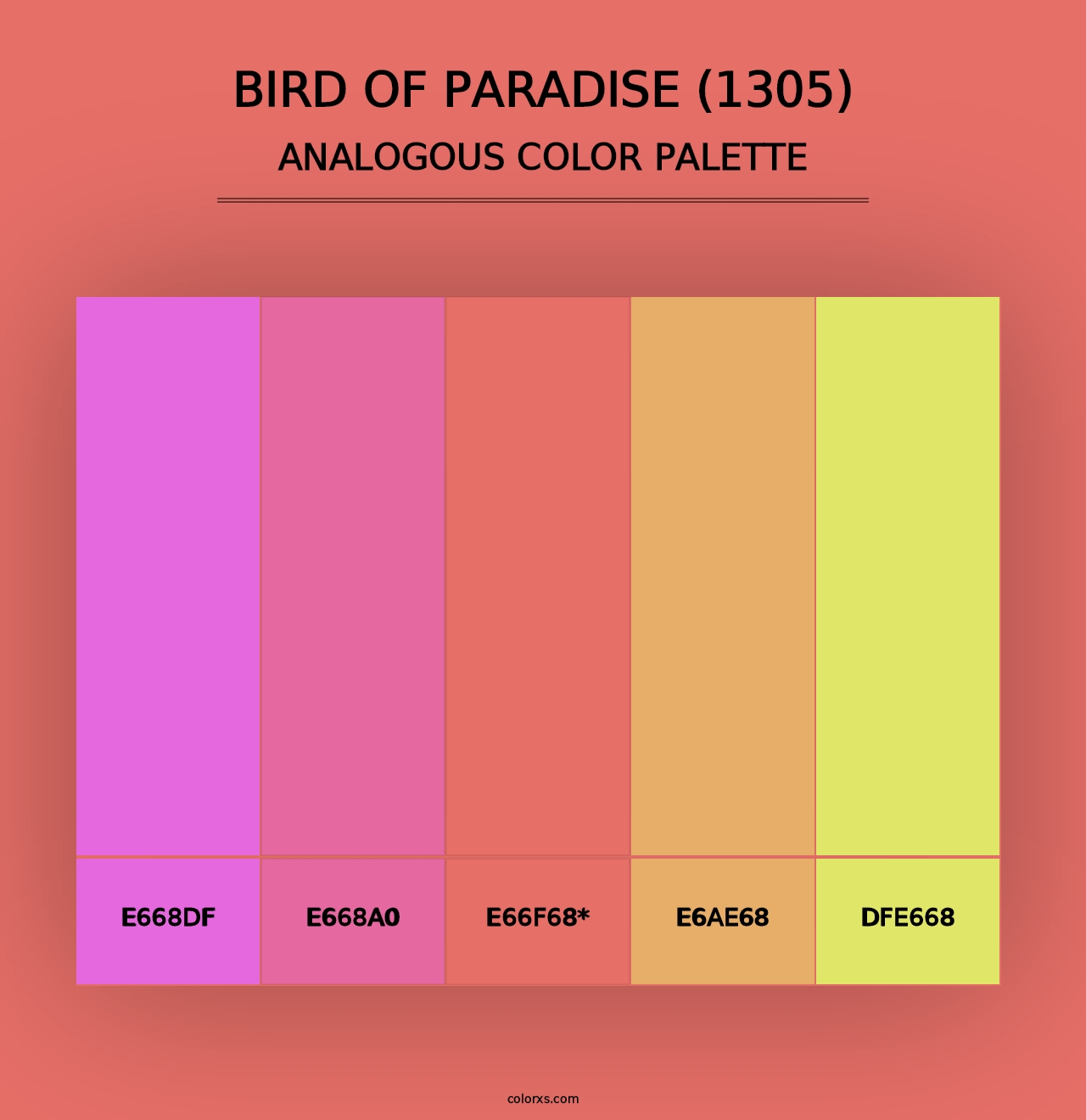 Bird of Paradise (1305) - Analogous Color Palette