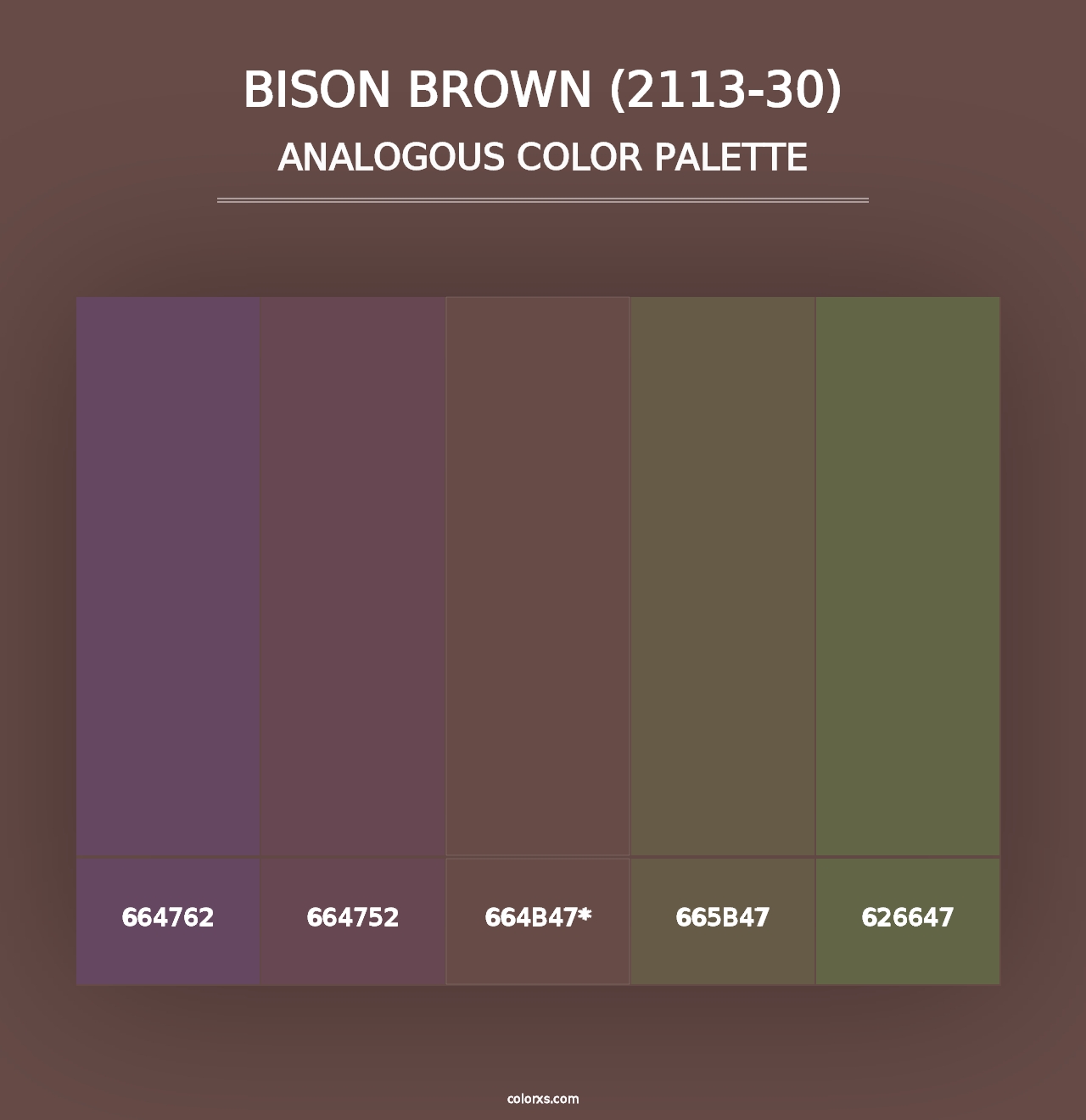 Bison Brown (2113-30) - Analogous Color Palette