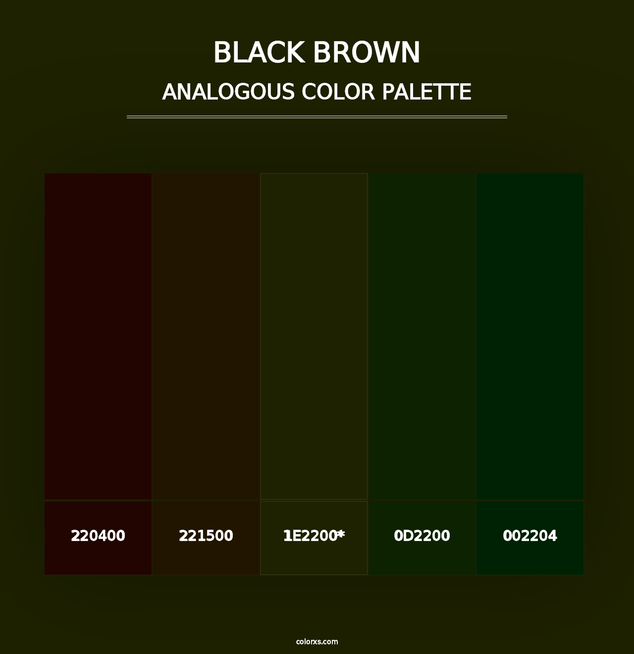 Black Brown - Analogous Color Palette